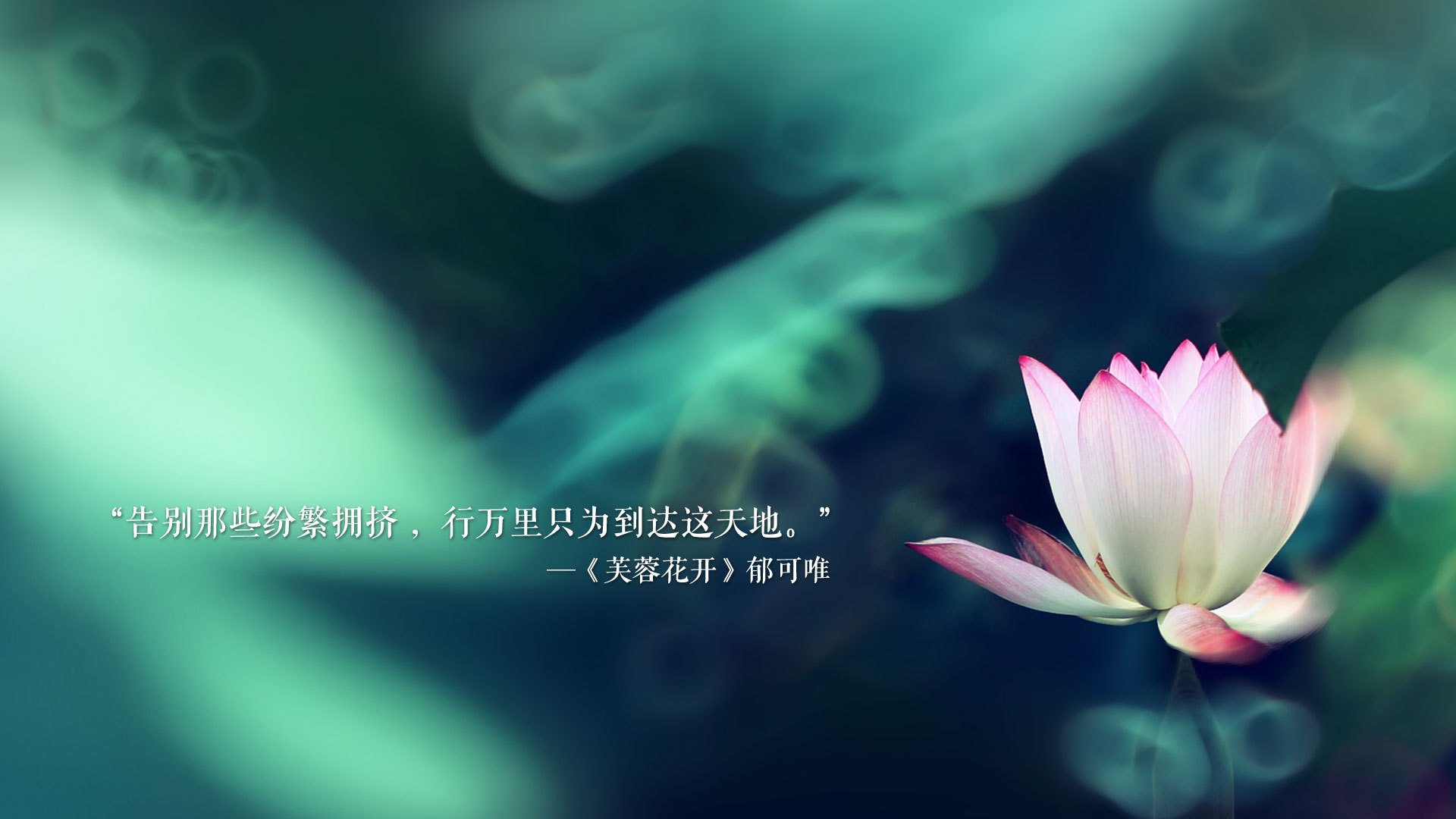 世俱杯2025赛程-IT+足球科技创新成果频出，行业硬核科技助推未来发展，足球科技公司
