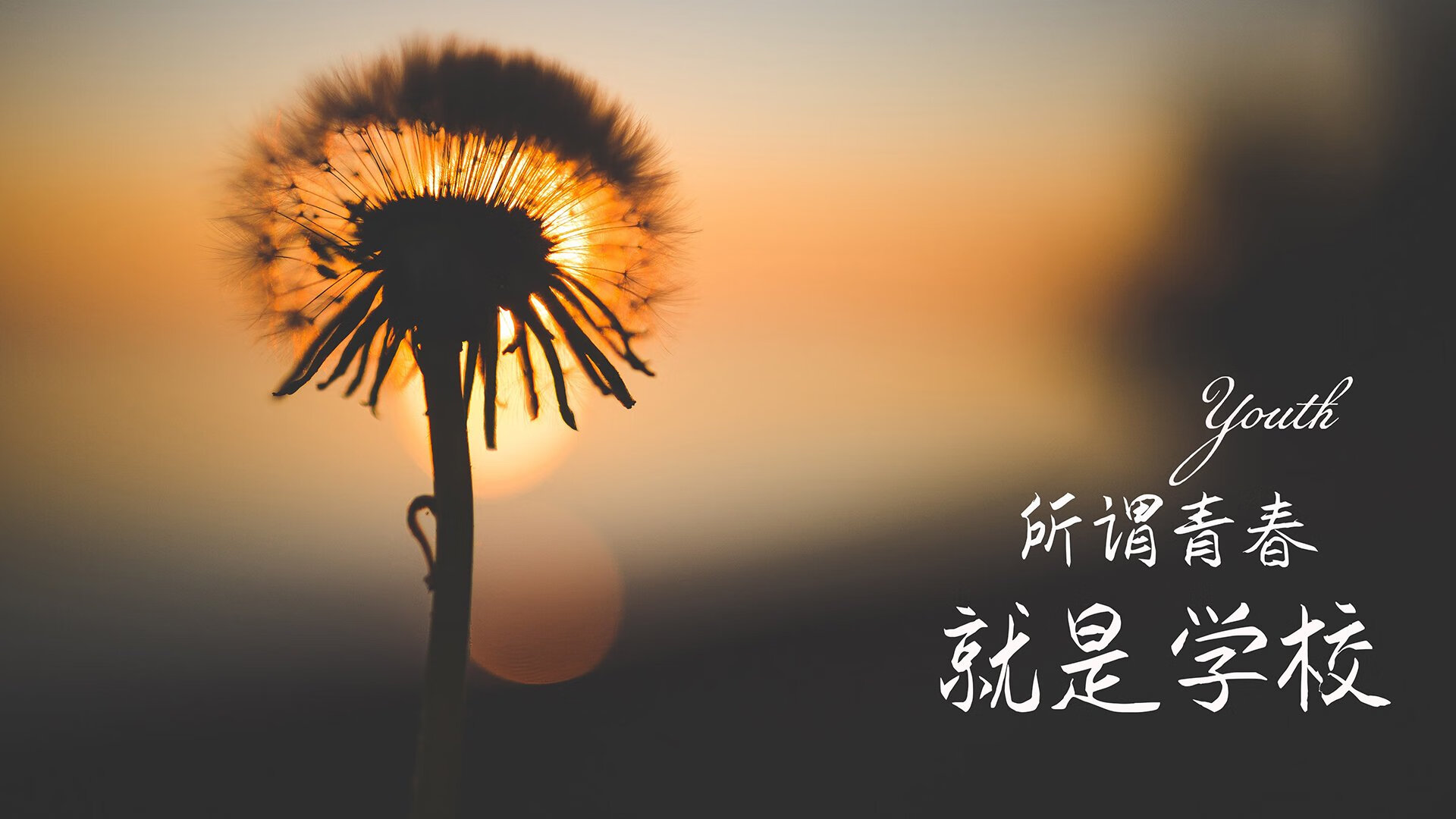 _大型主题公园：娱乐+运动一体化的欢乐赛事_，主题公园运营