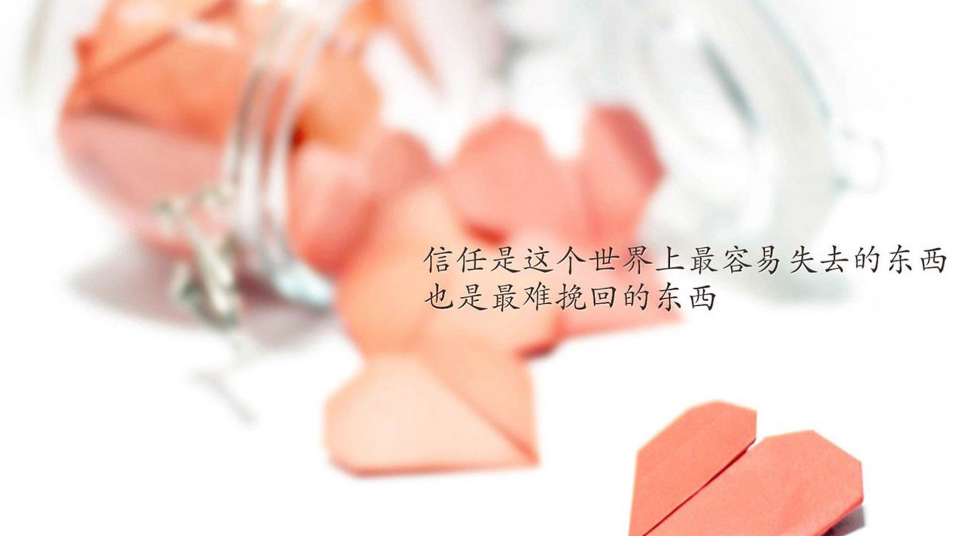 “历史辉煌：那些永载史册的多场伟大战役”，那些伟大战争的成果