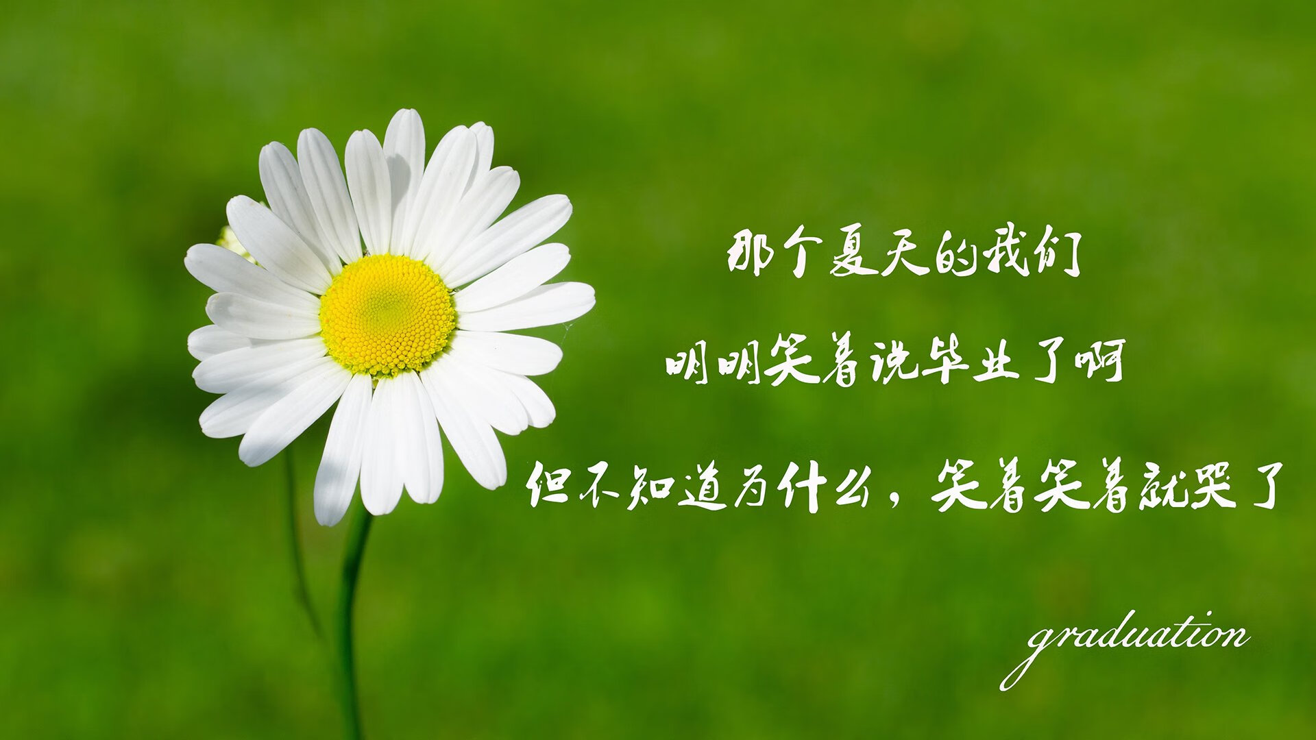 体育教师教学评估结果在职称评定中的应用研究，体育教师教学评价的主要内容包括