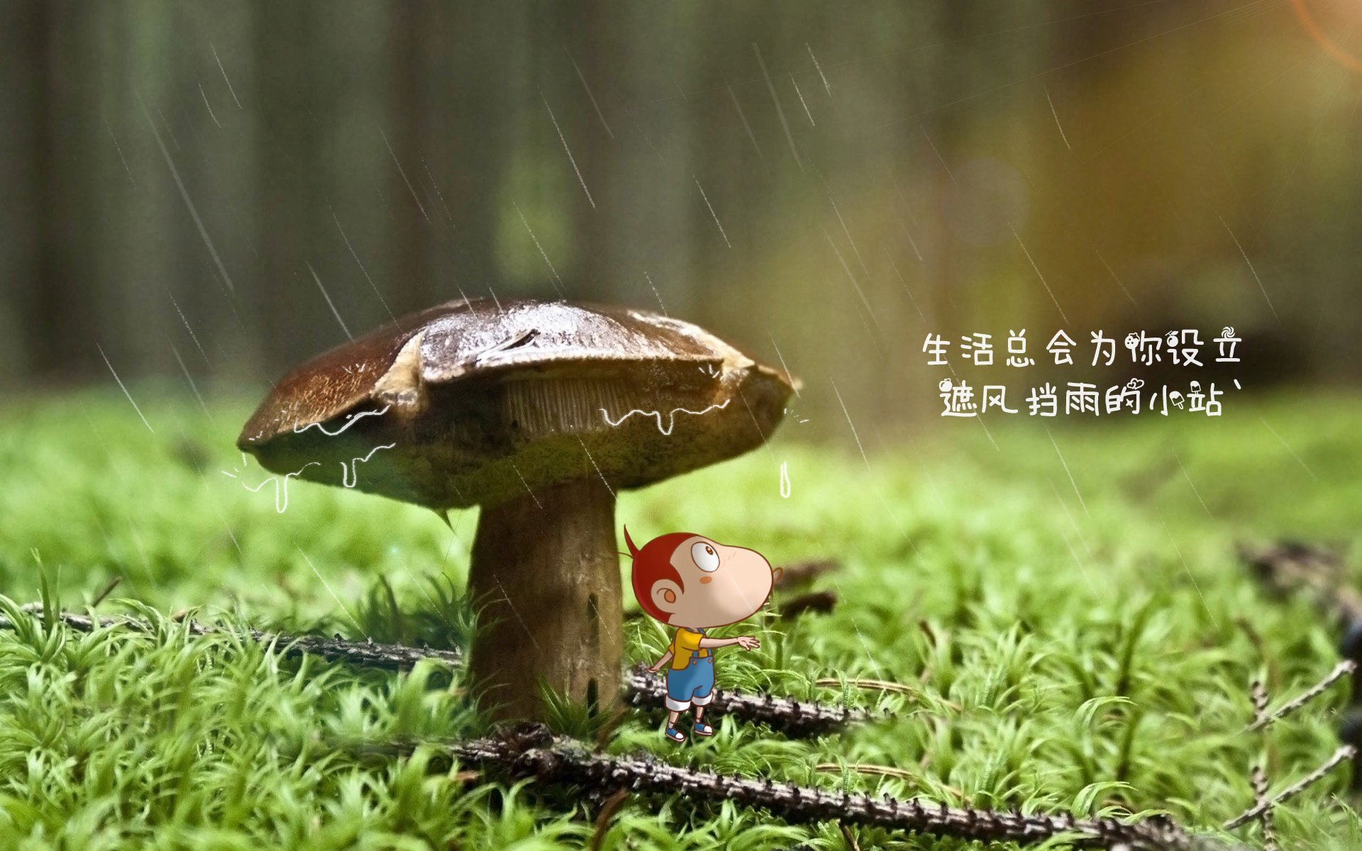 法甲球队通过认知训练提升快速决策能力实证研究