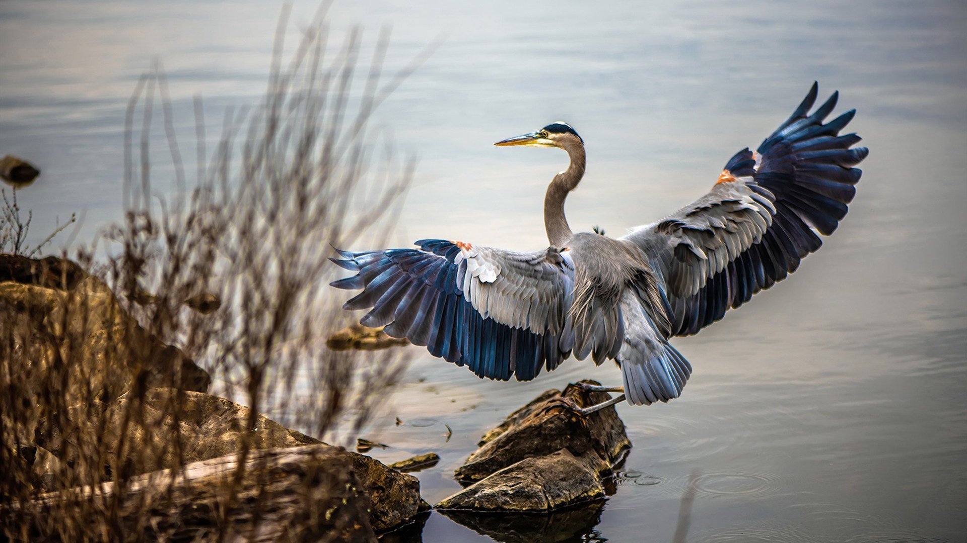 运动装备质量标准制定,运动装备质量标准制定原则