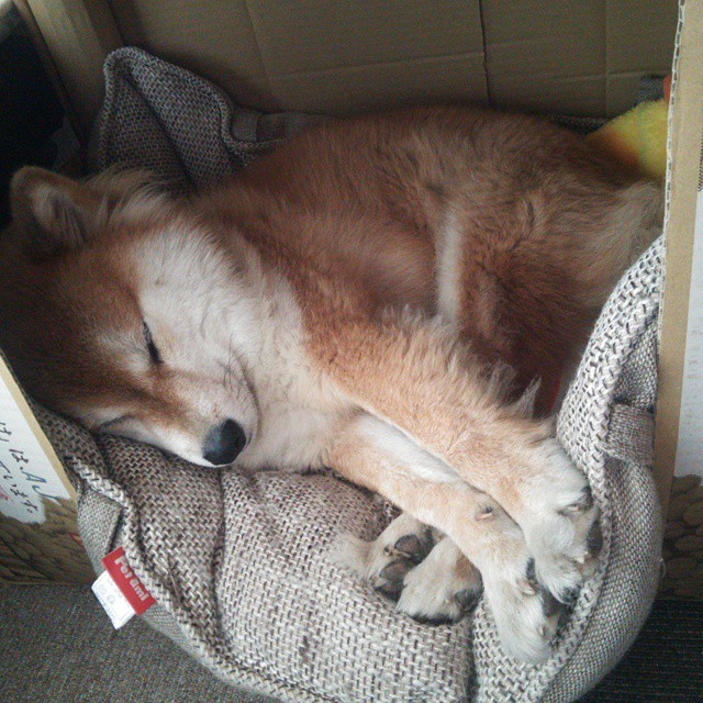 中路直塞成功率是否高于边路渗透传球,直塞最强的中场