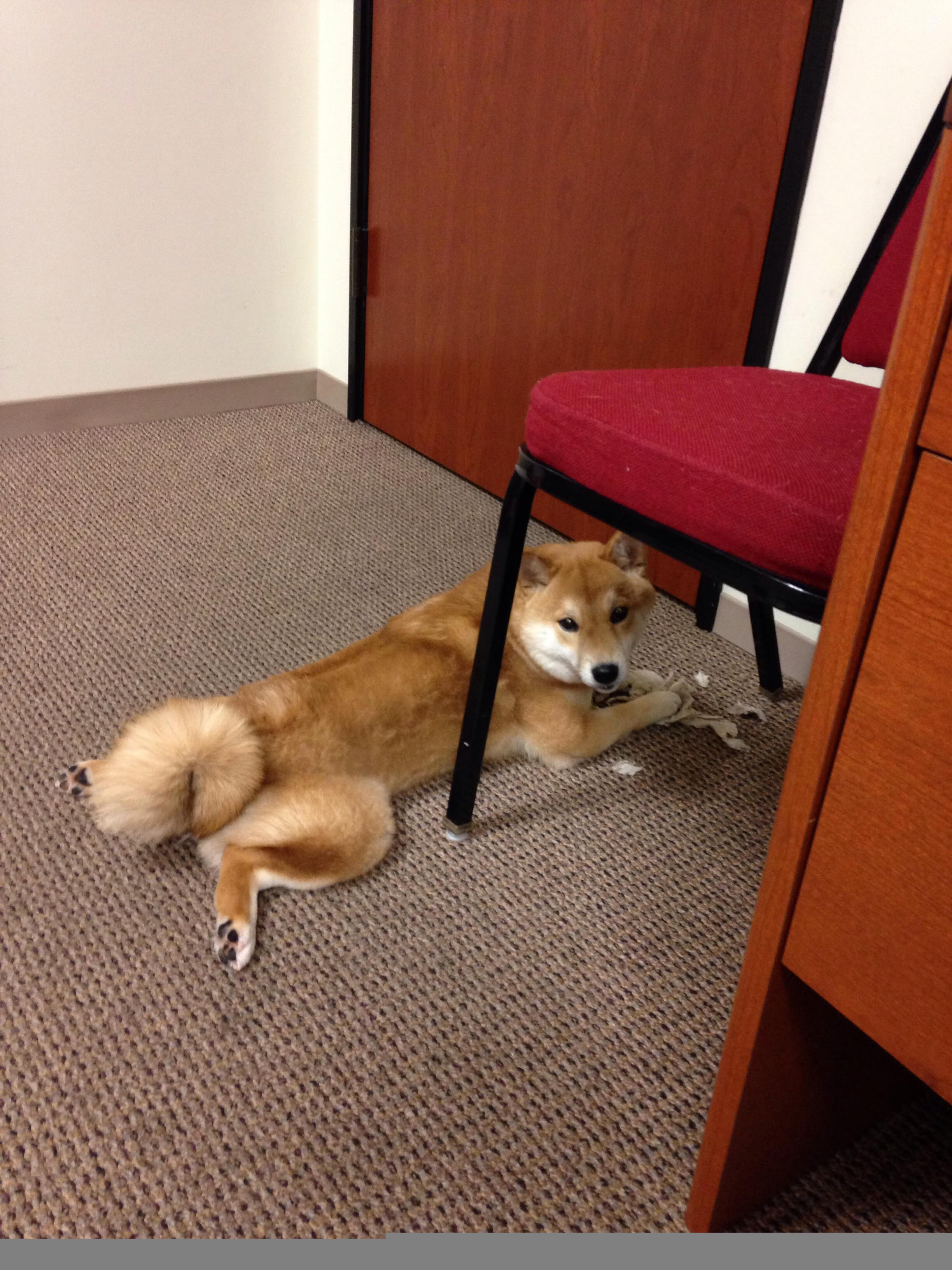 世俱杯2025赛程-俱乐部未来规划明确，持续打造顶级阵容，俱乐部发展前景